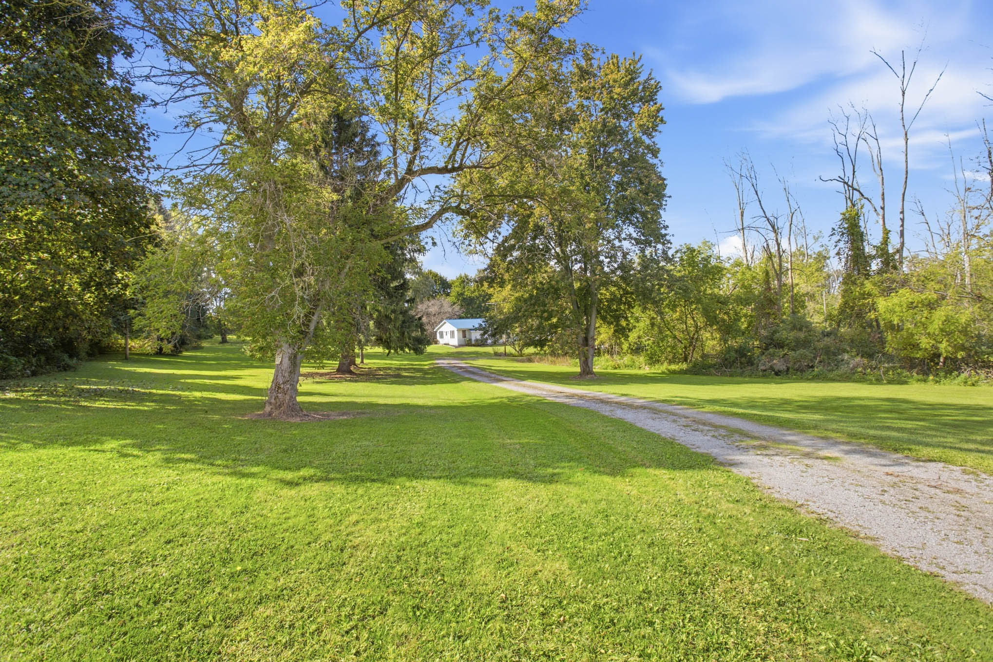 Winding driveway through mature trees at 8082 Mill Road